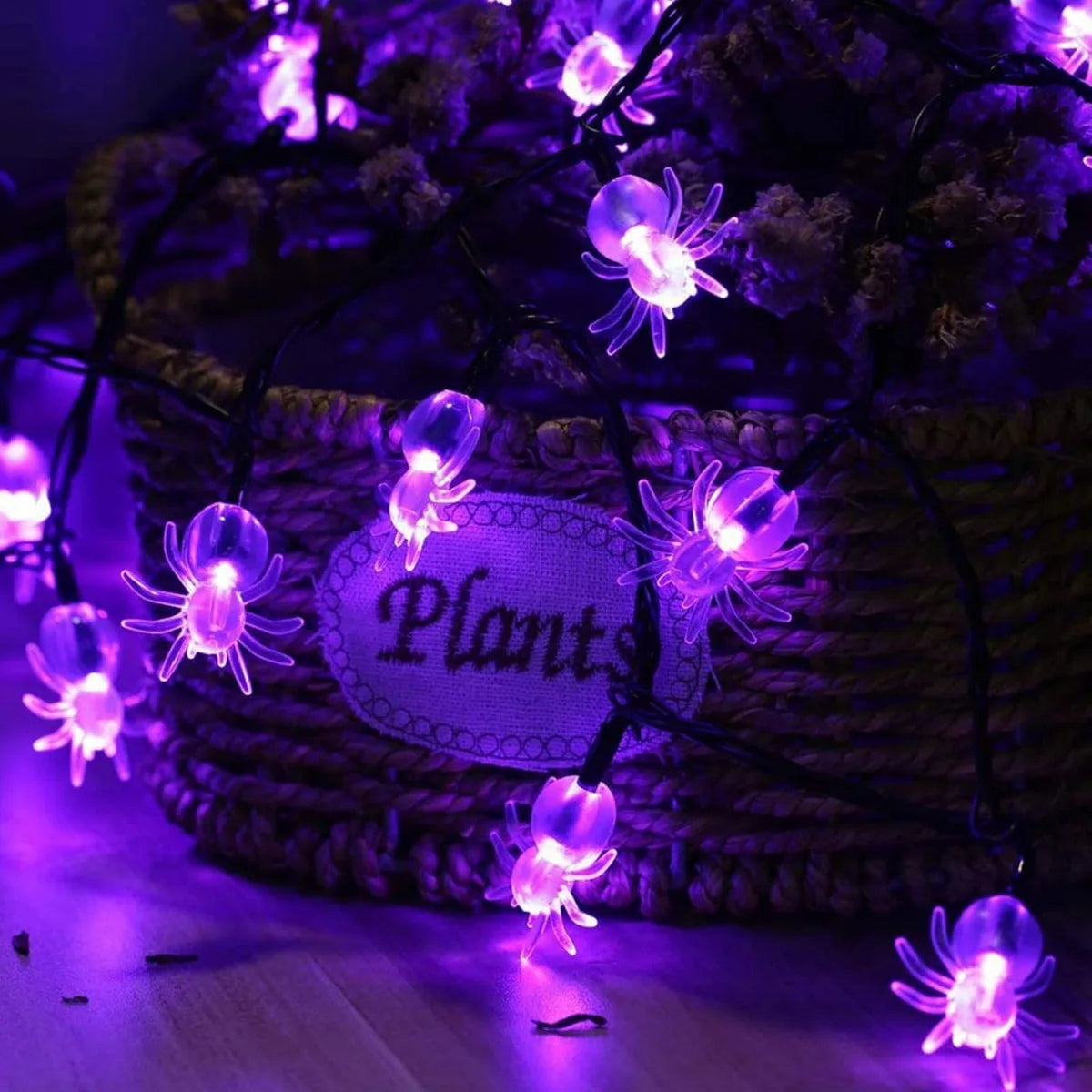 Spooky Spark String Lights